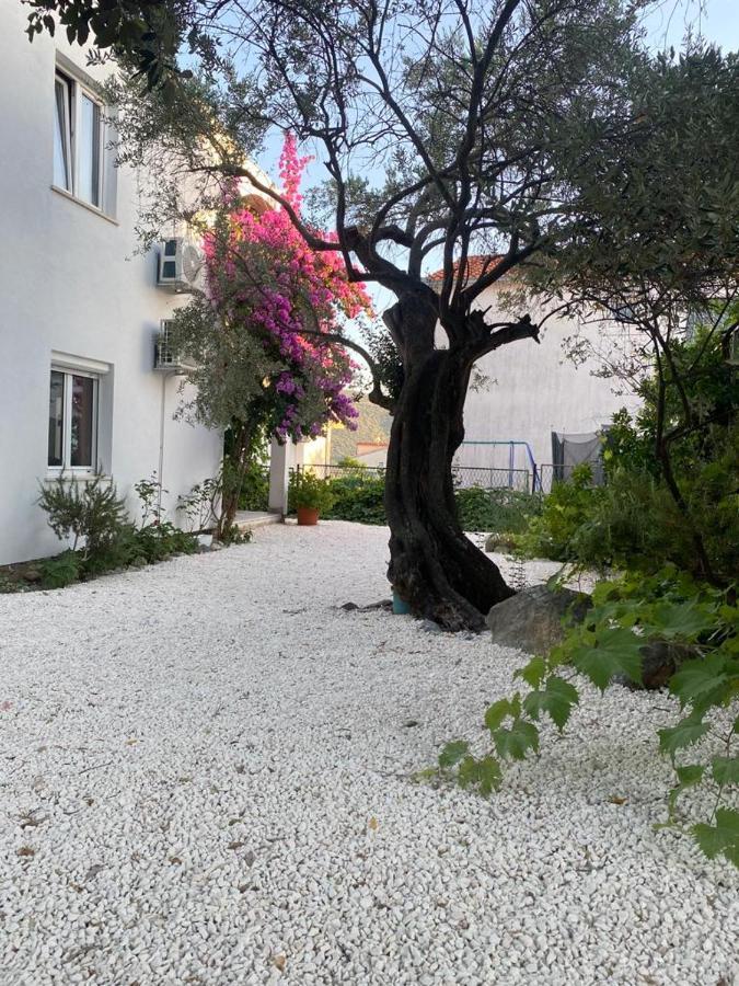 Olive Garden Apartments Poljica  Eksteriør bilde